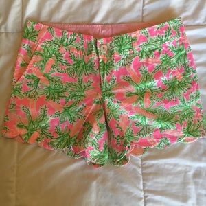 Nibbles carrot print Easter Buttercup shorts